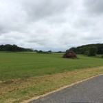 IMG_0587