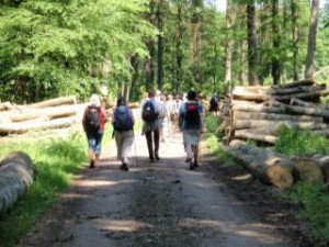 Pilgrimsvandring til Odense
