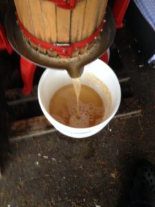 Mosten løber fra de pressede æbler.