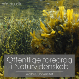 Tang @ Vedel Simonsensvej 31, 5474 Veflinge